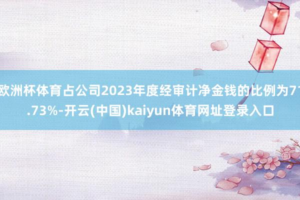 欧洲杯体育占公司2023年度经审计净金钱的比例为71.73%-开云(中国)kaiyun体育网址登录入口